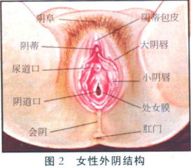 高潮后女性私处震撼的性反应 图