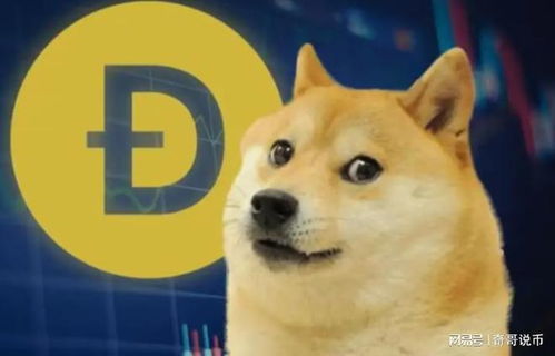 doge狗狗币价格