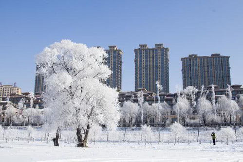 福建为什么没有太多大型国企