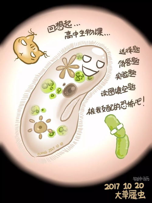 你养过最小的宠物是什么 当然是生物课上的草 履 虫 