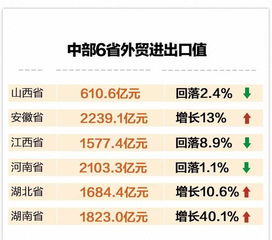 p.iva在外贸中，是代表什么号?