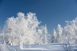 心理测试 你觉得哪个雪景最美 测试你会遇到什么样的男人 