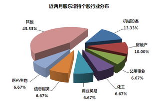 股份有限公司两个股东应该如何分工