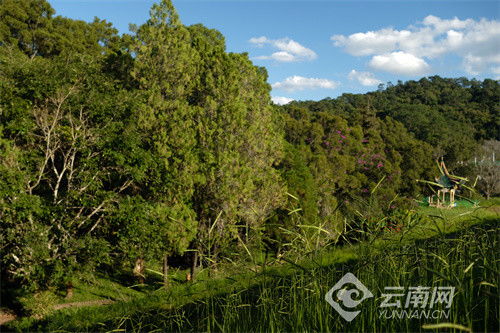 有一种味道叫普洱 天水清相入,秋冬气始交