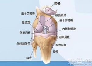 如何避免半月板损伤引起的肌肉萎缩？
