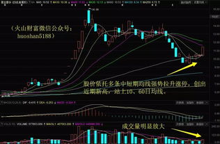 山东黄金这只股票是不是分过红啦