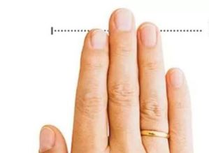 五个手指各代表着什么