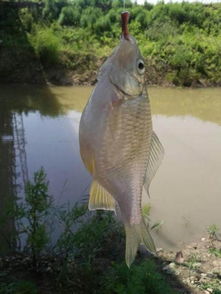 夏季怎么选择钓点