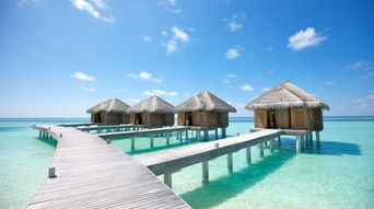 马尔代夫桃花岛浪漫游记，美景令人陶醉