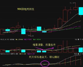 怎么判断股市中的金叉和死叉