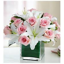 男女之间纯友谊送什么花,给女朋友送白色玫瑰代表什么？