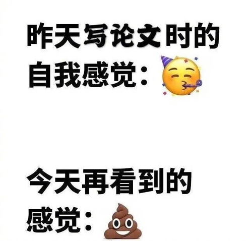 论文查重没过？别担心，还有机会重新检查