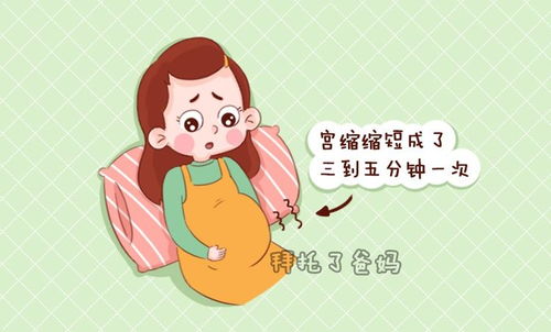 原创孕晚期出现这5种症状，胎宝宝可能要早产了，孕妈别大意