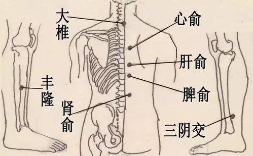 久视伤血,久卧伤气,久坐伤肉....何为 五劳七伤 洛桥