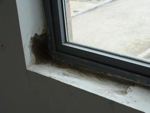 窗台防水怎么弄好看图片 封窗户外面怎么做防水