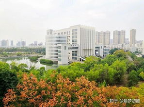 浙江杭州最好的大学排名
