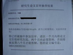 湖南大学通报论文抄袭事件 撤销硕士学位 取消导师指导资格