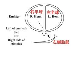 明星拍照好看的秘诀,不花钱你也能拥有