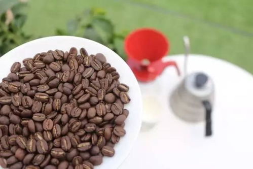 手冲咖啡豆需要有养豆期,那意式咖啡豆有养豆期吗