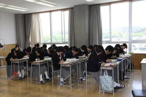 最新教育培训机构  大中小学中学幼儿园教育培训机构