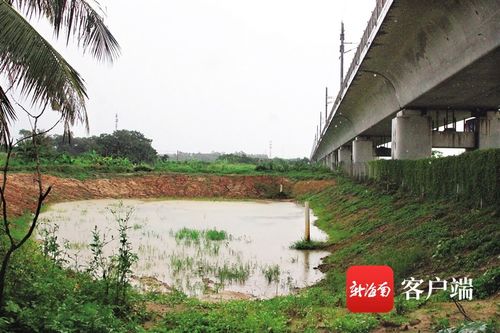 椰视频 琼海多地村民报料 有人借 挖塘 之名滥采砂卖 