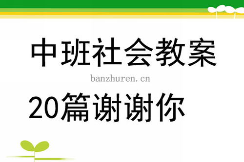 中班社会特殊的电话号码教案