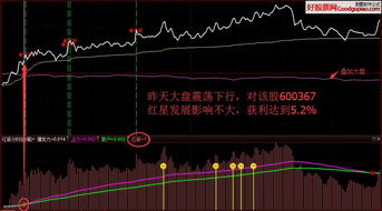 益盟操盘手股票软件指标上为什么有两个市盈率