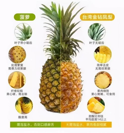 凤梨与菠萝是一个东西吗 一文讲清菠萝食用禁忌