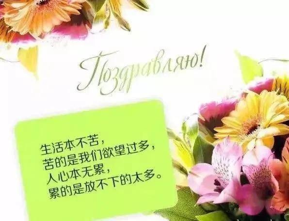 延续——从一盆花的兴衰，感悟人的来去感悟人生