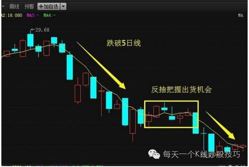 五日均线怎么看