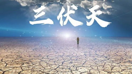 2022年三伏天时间表 啥时候入伏 啥时候出伏 为啥有40天