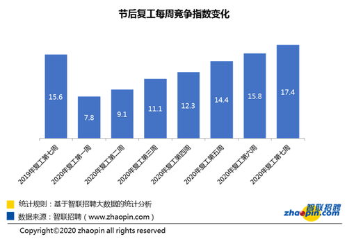 IT人员隶属各类型公司的什么部门