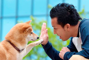 松本秀树出席2013友善宠物节 与 台版大介 宣传使命
