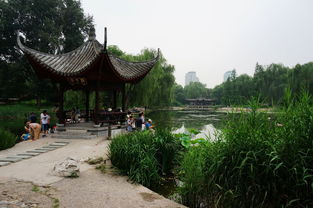 北京 陶然亭公园
