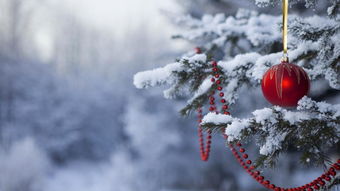 圣诞树下雪怎么弄好看？微信聊天时怎么满屏下雪和圣诞树(微信下圣诞雨的表情)