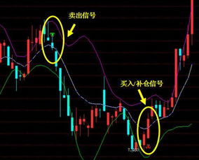 股票术语&quot;多方&quot;和&quot;空方&quot;是什么意思?