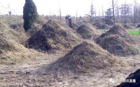 盘点深州市区原来都哪片是坟地