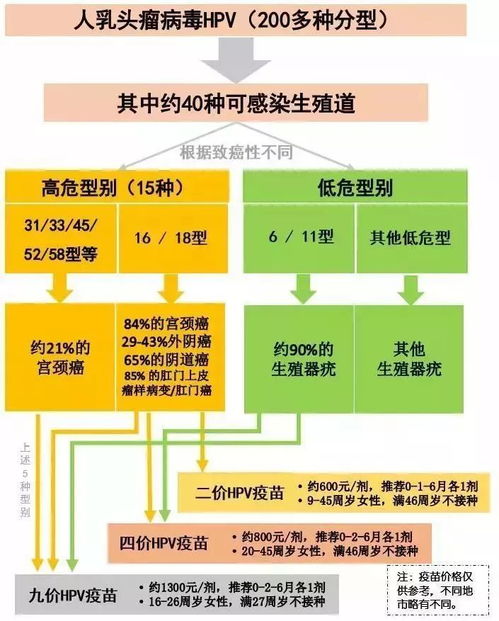 国产 HPV 疫苗获批上市 一篇文章搞清楚国产进口哪个好