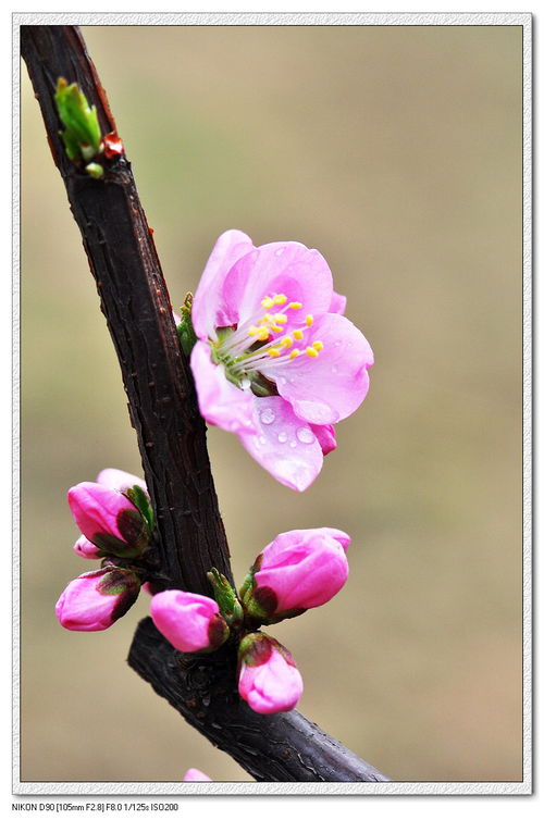 今天走了点小桃花运,呵呵 