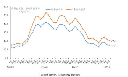 2022年4月2日出生的宝宝