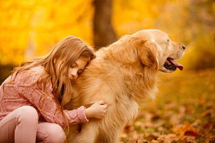 狗狗的嗅觉有多强大 不仅能闻出癌症等疾病,还能闻出女生生理期