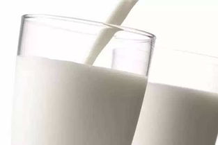 喝牛奶居然不如吃精液营养价值高(吃牛奶补精吗)
