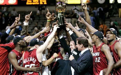 nba小牛夺冠阵容，2011年NBA总决赛各场比分