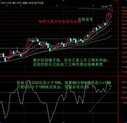 请问股票每支价格怎么看?