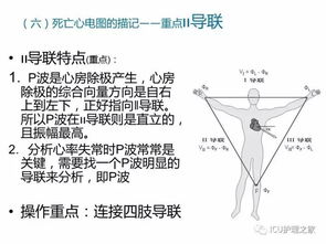 心电图机的操作,12导联 18导联链接详解 