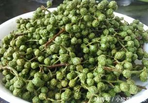 花椒和麻椒大有不同 40年川菜老厨师教你分辨,用错了影响食欲 