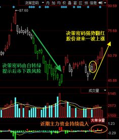 新能源股趋势怎么样啊？