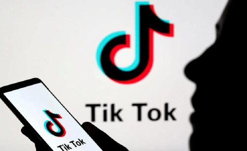 Tik Tok直播注意及设备搭建_TikTok高效优质视频剪辑及账号快速涨粉