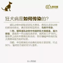 咬一口发病致死率几乎100 广州将启动 最严 养犬整治行动