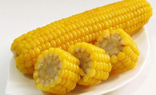 为什么糯玉米不建议吃 中医警告玉米要少吃